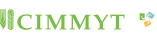 cimmyt